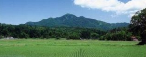 画像に alt 属性が指定されていません。ファイル名: コメント-2020-08-11-093704.png