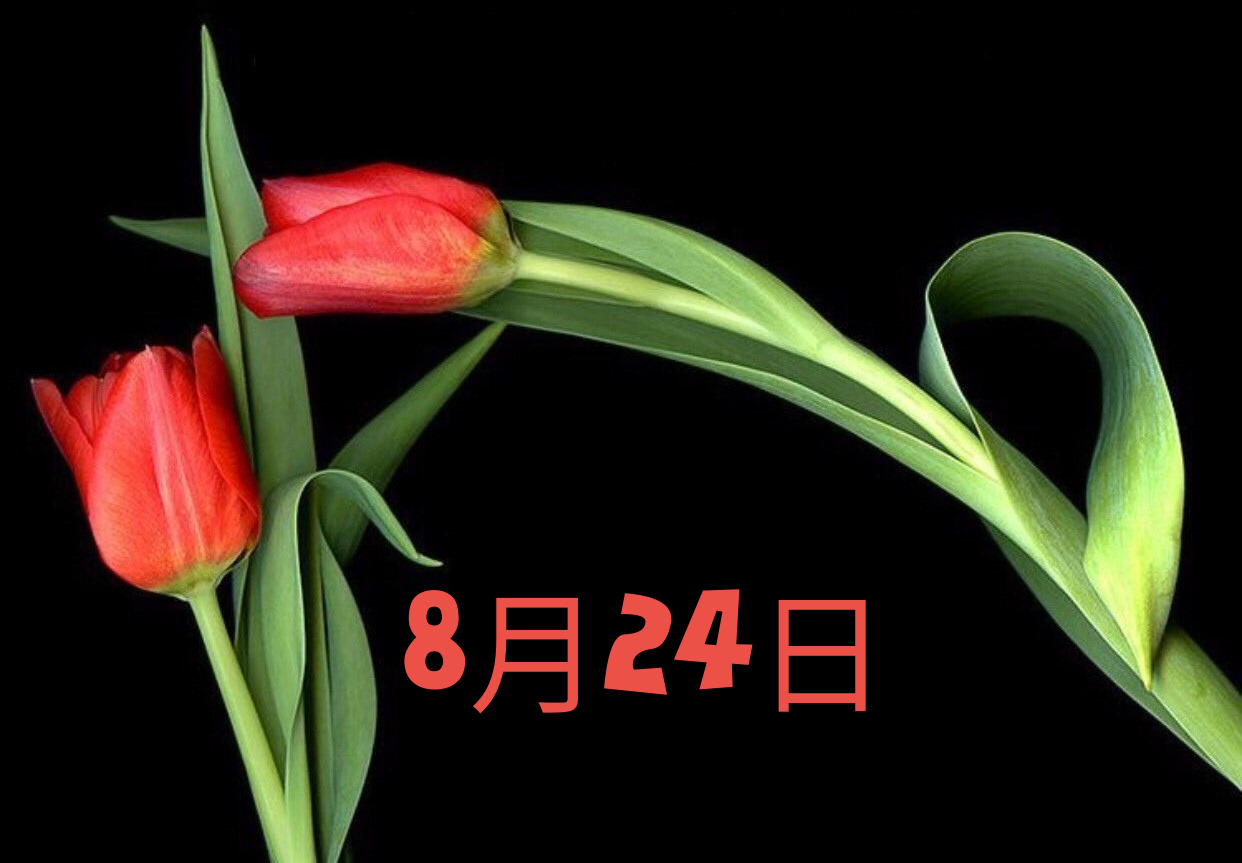 8月24日生まれの運勢 恋愛 性格を紹介 366日誕生日占い